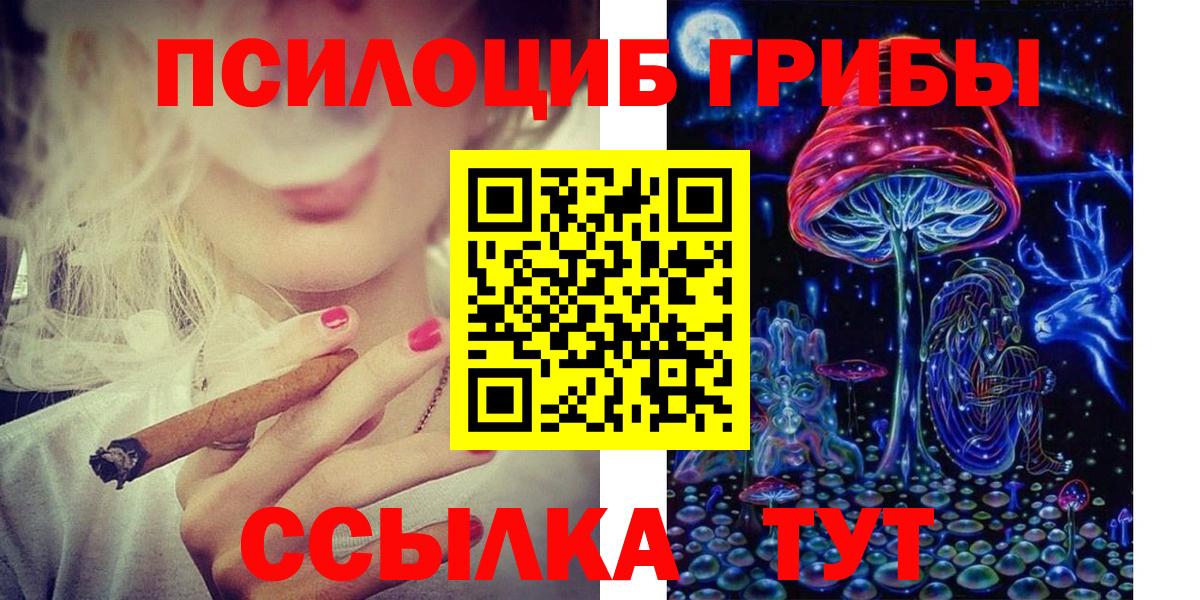 Псилоцибиновые грибы Psilocybine cubensis Ипатово