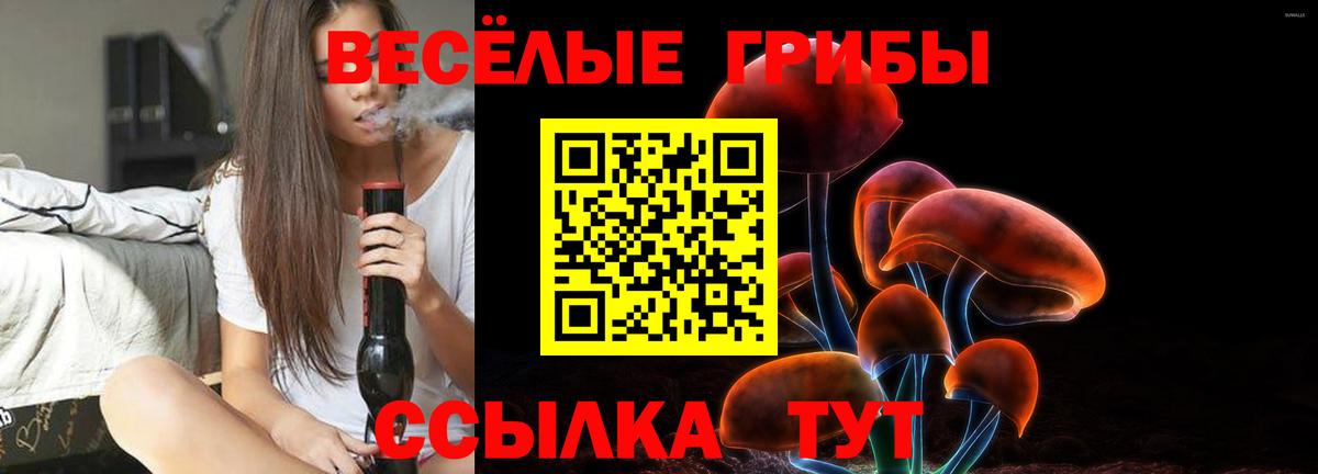 Псилоцибиновые грибы Magic Shrooms  Вход с VPN  Ипатово  хочу наркоту  Галлюциногенные грибы Cubensis 